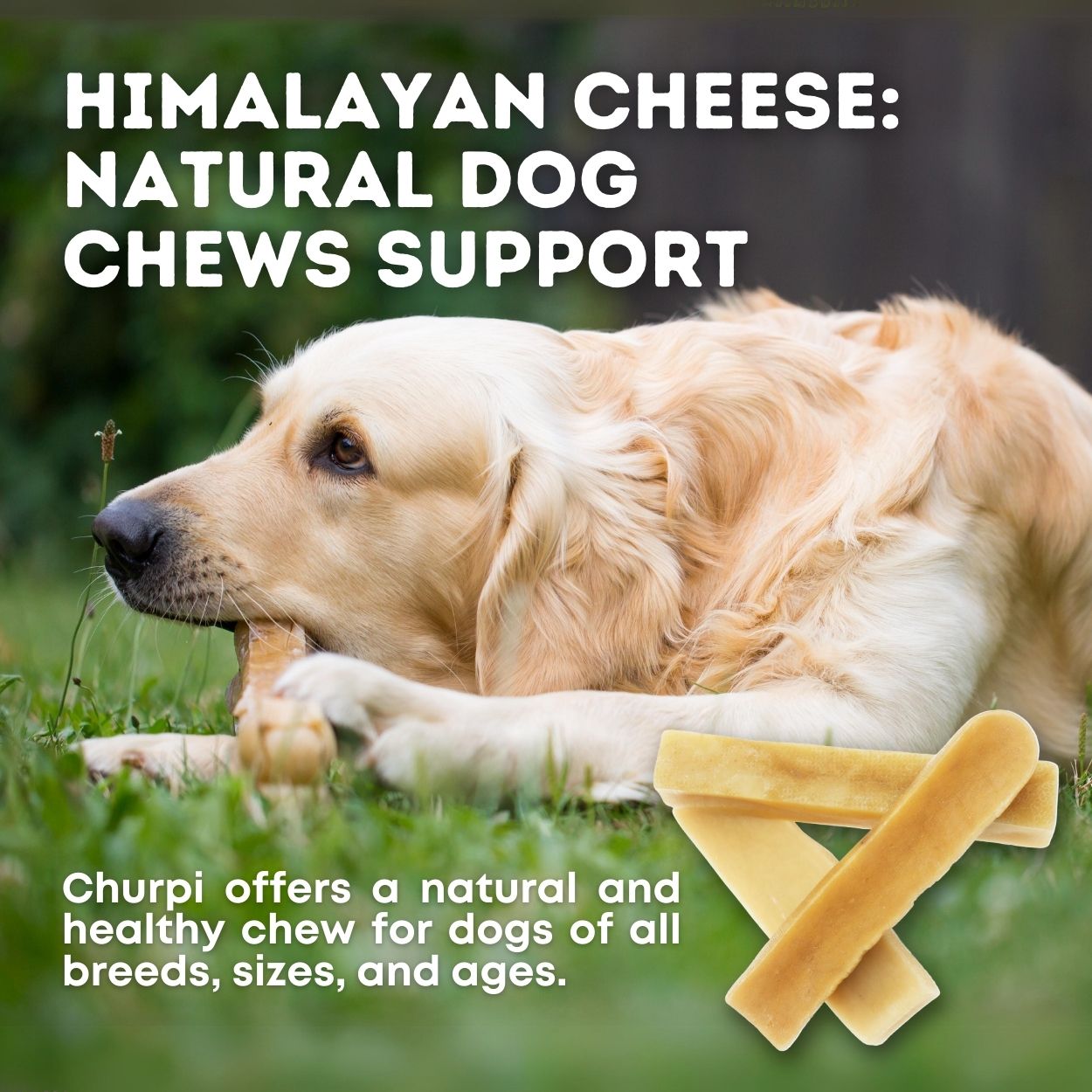 Aerend Churpi Himalaya-Käse für Hunde – 3 Stück