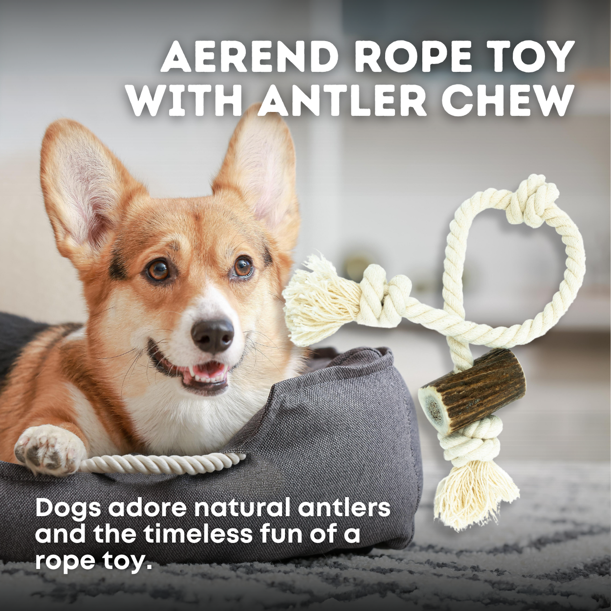 Aerend Seilspielzeug mit Geweih-Kauspielzeug für Hunde – 40 cm
