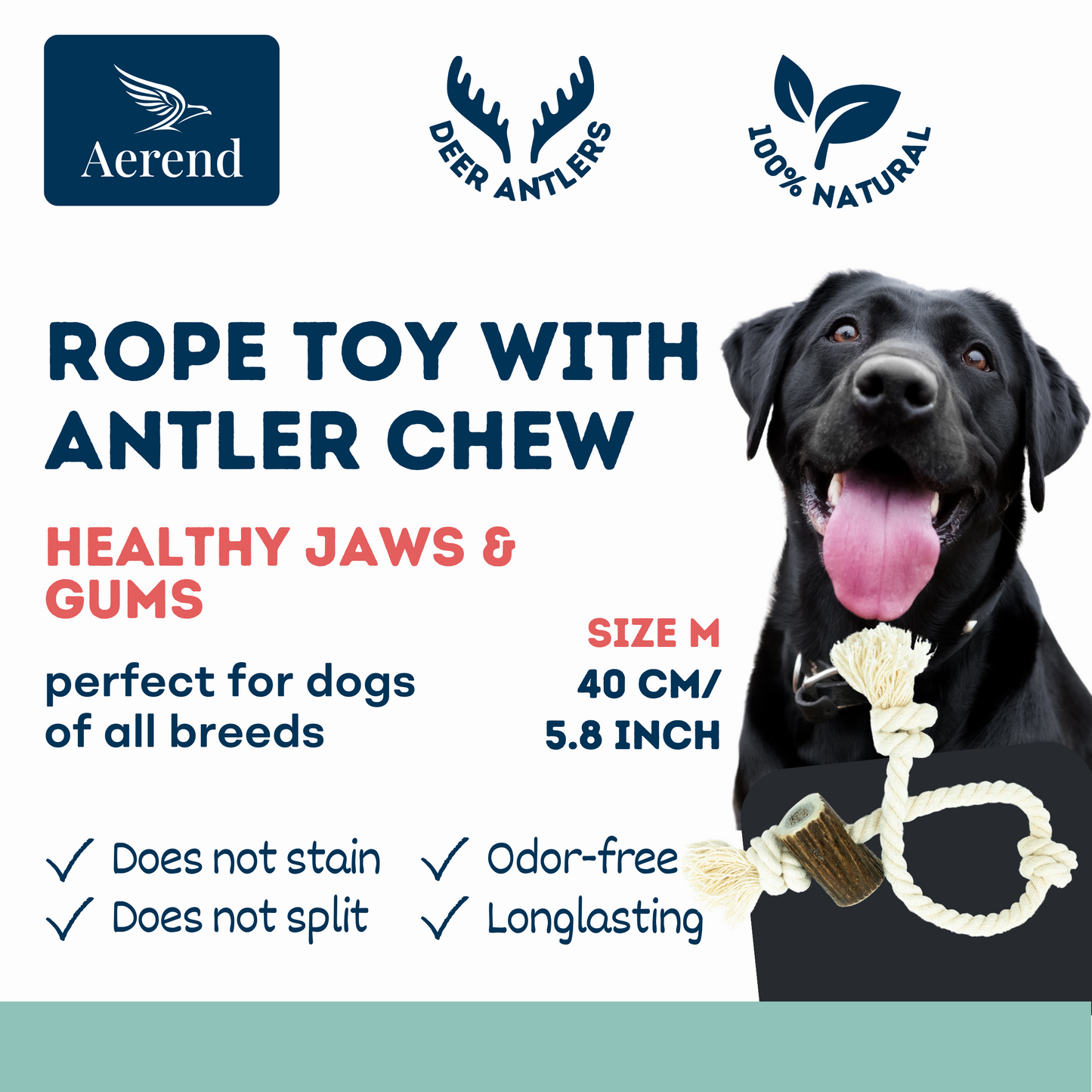 Aerend Seilspielzeug mit Geweih-Kauspielzeug für Hunde – 40 cm