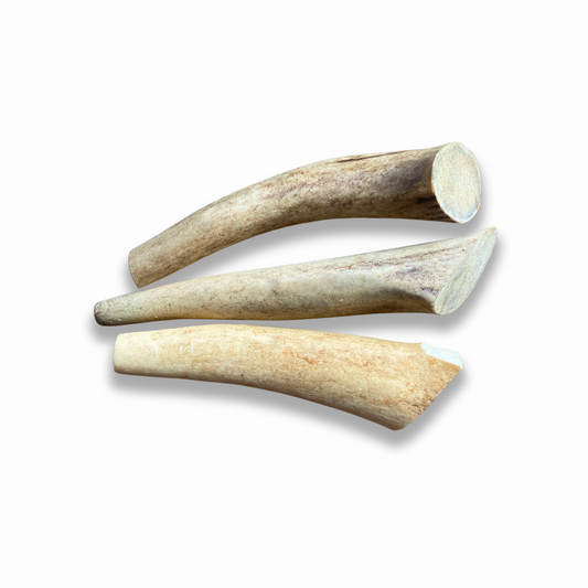 Aerend Natural Antler Dog Chew Toy (M-Line)